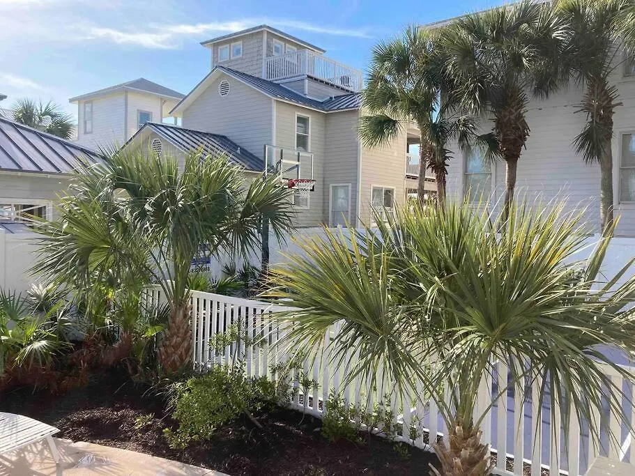Summerwind Cuda Destin 0*,  United States